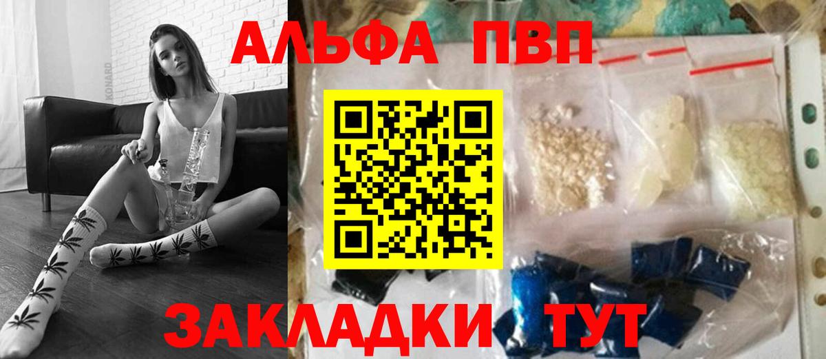 A PVP СК КРИС Ачинск