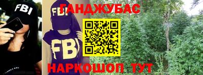 гашик Гудермес