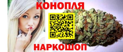 гашик Гудермес