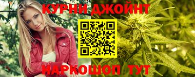 гашик Гудермес