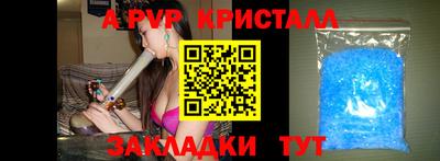 гашик Гудермес