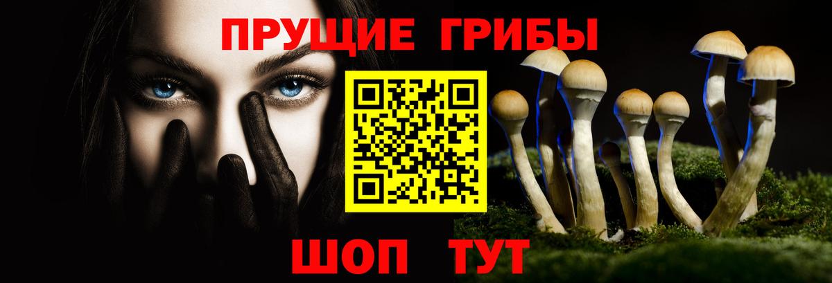 Галлюциногенные грибы Cubensis Ачинск